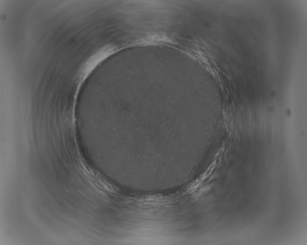 X0000067330196200604131709