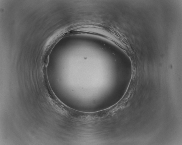 X0000067330197200604131709