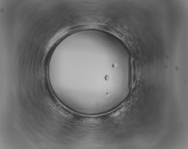 X0000067330198200604131709