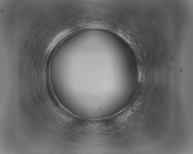 X0000067330199200604131709