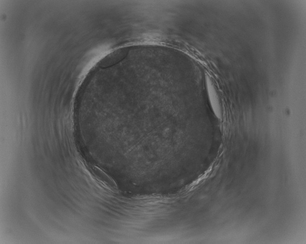 X0000067330200200604131709