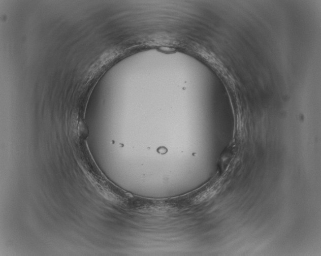 X0000067330201200604131709