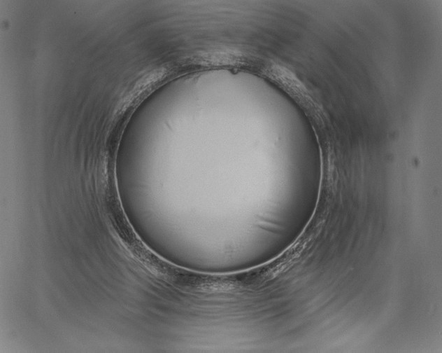 X0000067330202200604131709