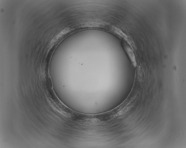 X0000067330203200604131709