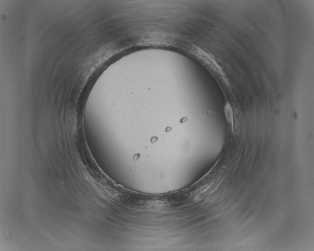 X0000067330204200604131709