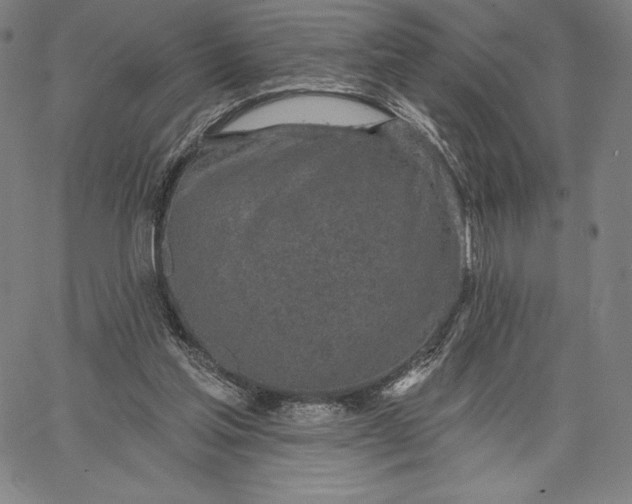 X0000067330205200604131709