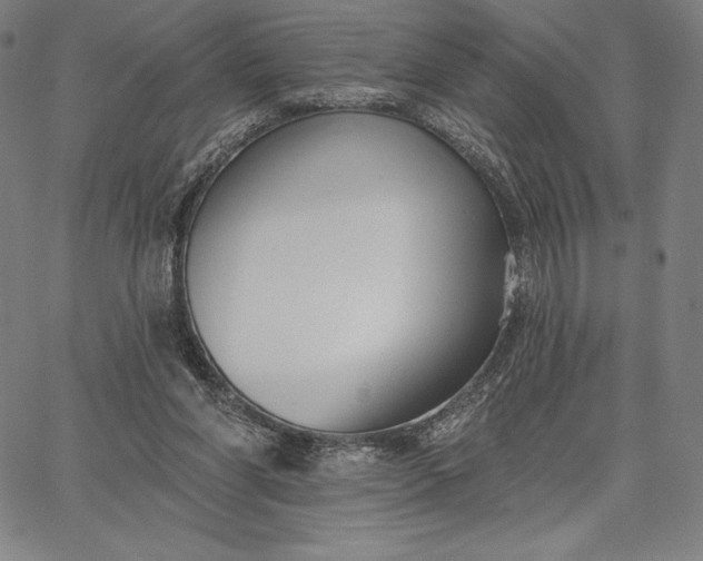 X0000067330206200604131709