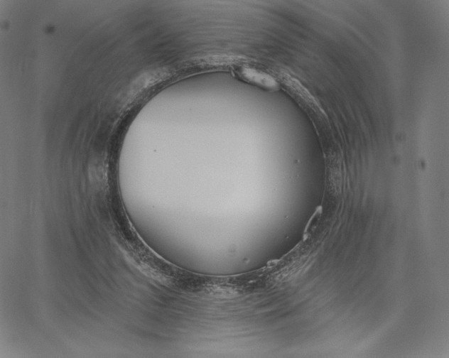 X0000067330207200604131709