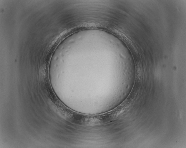 X0000067330208200604131709