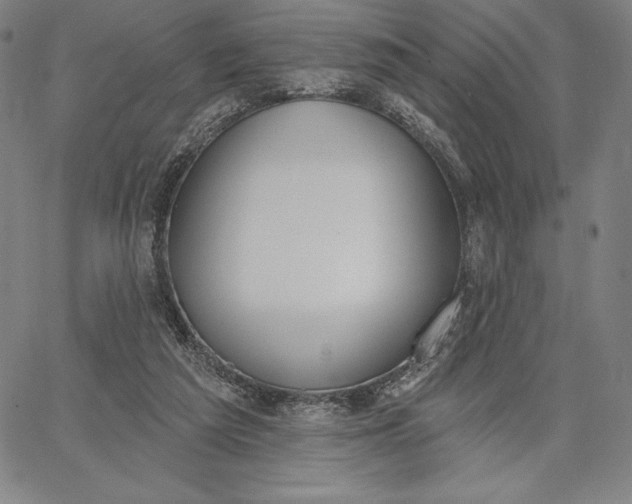 X0000067330209200604131709