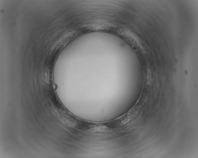 X0000067330210200604131709