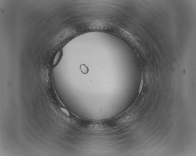 X0000067330211200604131709