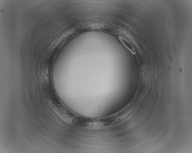 X0000067330212200604131709