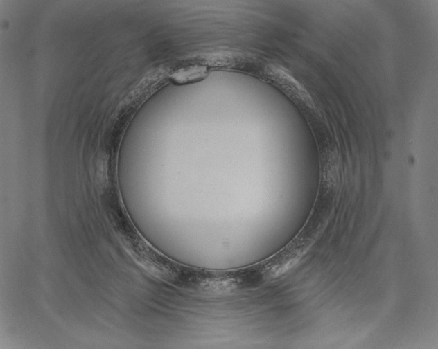 X0000067330213200604131709