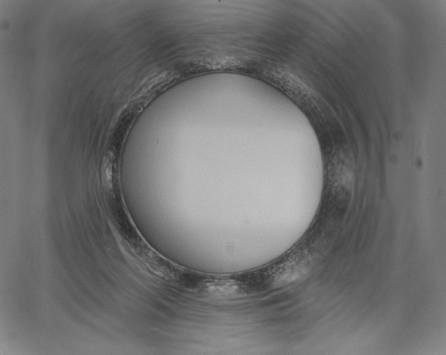 X0000067330214200604131709