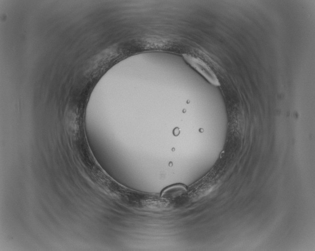 X0000067330215200604131709