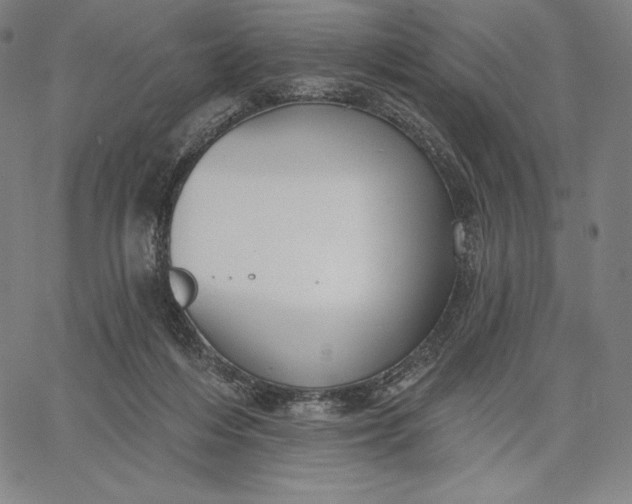 X0000067330216200604131709