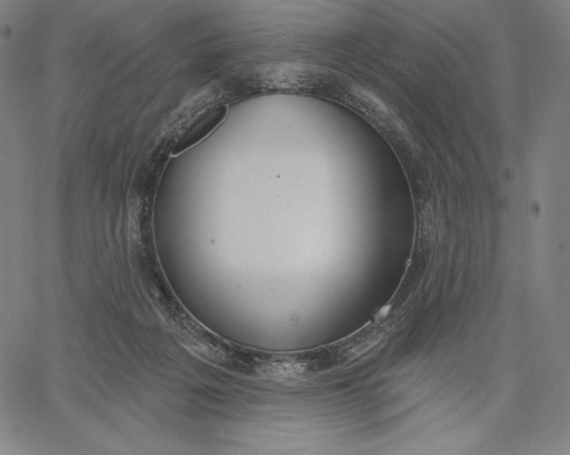 X0000067330217200604131709