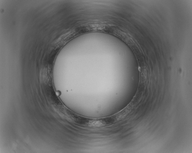 X0000067330218200604131709