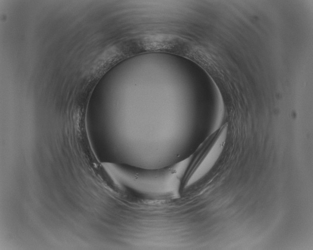 X0000067330219200604131709