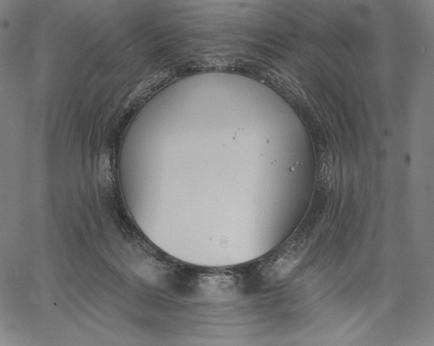 X0000067330220200604131709