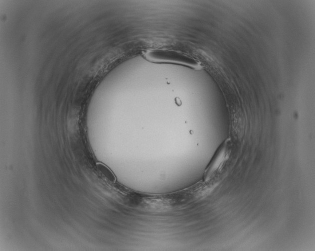 X0000067330221200604131709