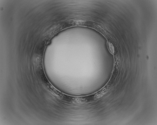 X0000067330222200604131709