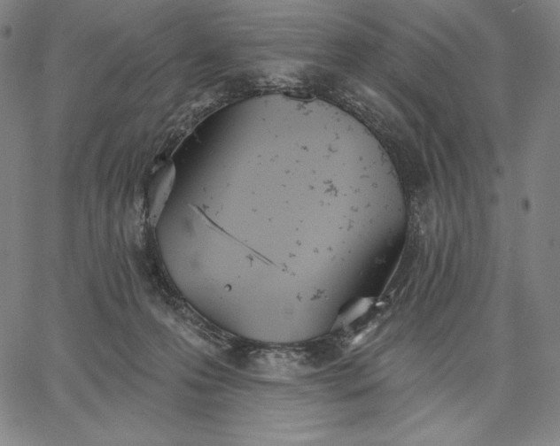 X0000067330223200604131709