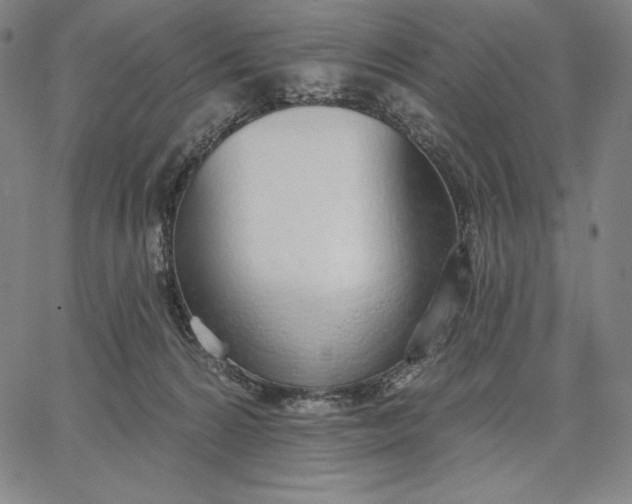 X0000067330224200604131708