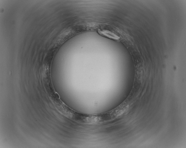 X0000067330225200604131708