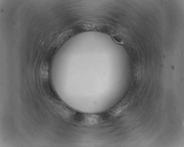 X0000067330226200604131708