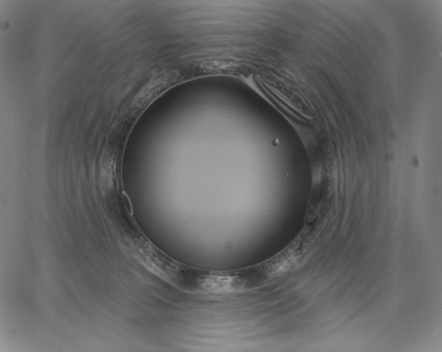 X0000067330227200604131708