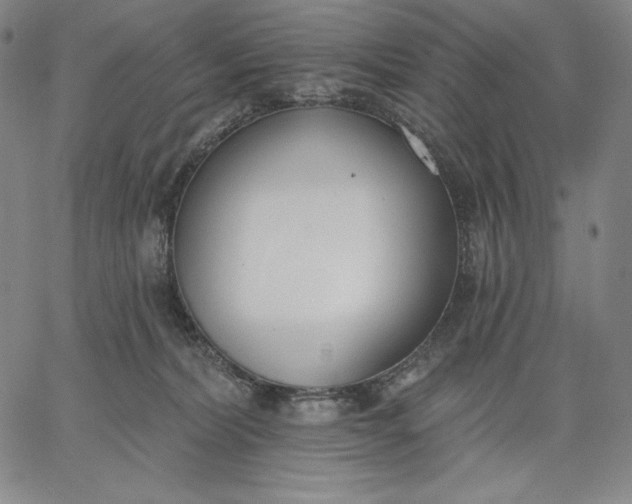 X0000067330228200604131708