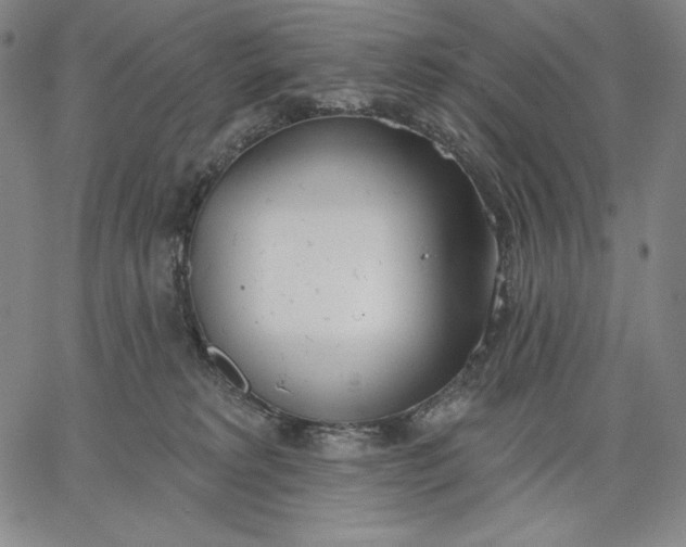 X0000067330229200604131708