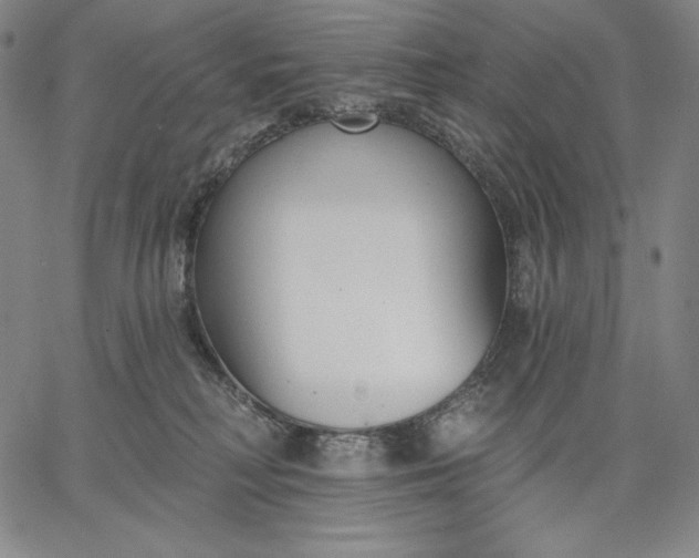 X0000067330230200604131708