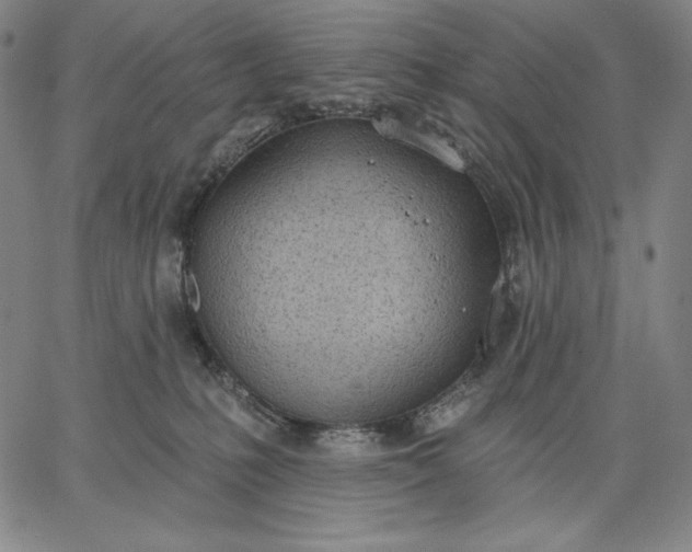 X0000067330231200604131708