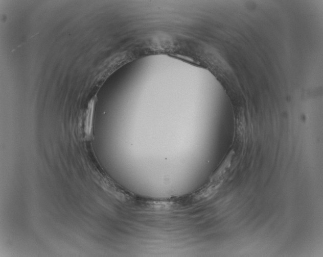 X0000067330233200604131708