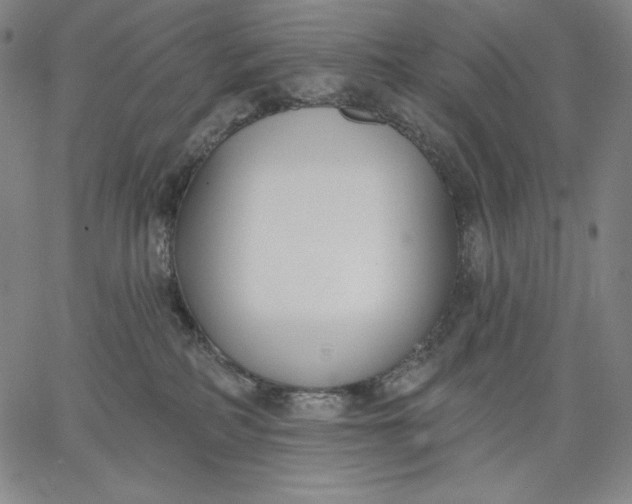 X0000067330234200604131708