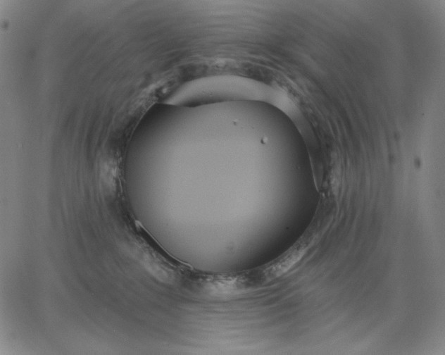 X0000067330235200604131708