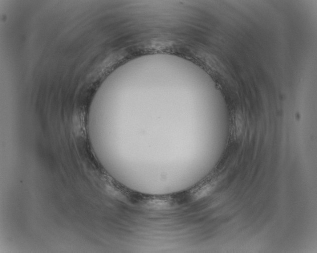 X0000067330236200604131708