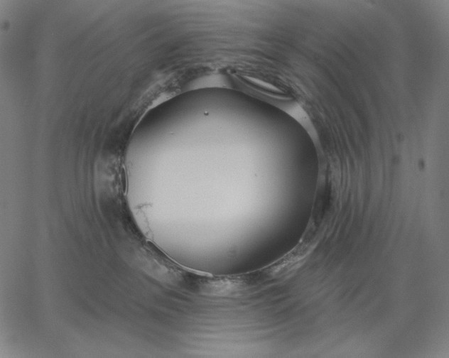 X0000067330237200604131708