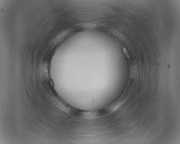 X0000067330238200604131708