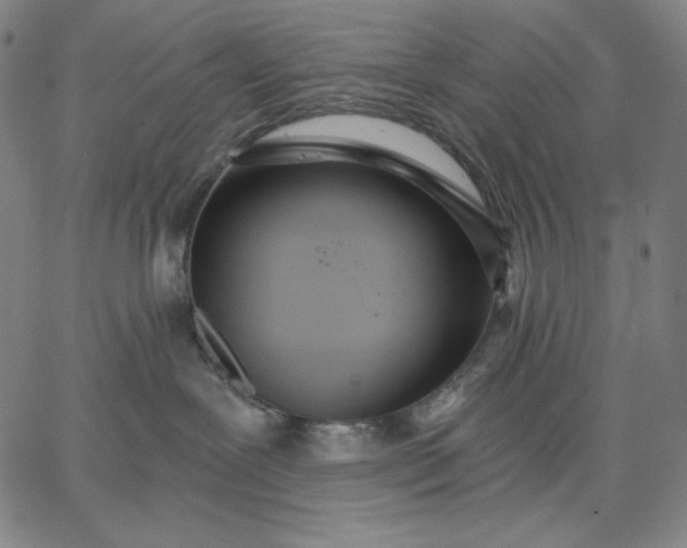 X0000067330239200604131708