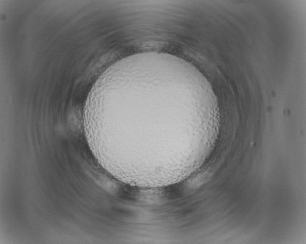 X0000067330240200604131708