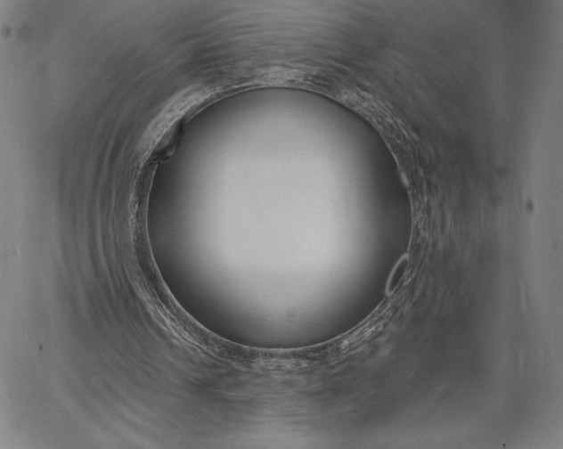 X0000067330242200604131707