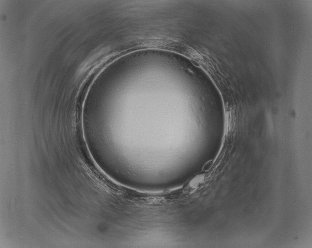 X0000067330243200604131707