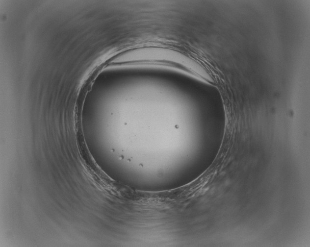 X0000067330244200604131708