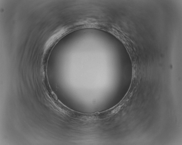 X0000067330245200604131708