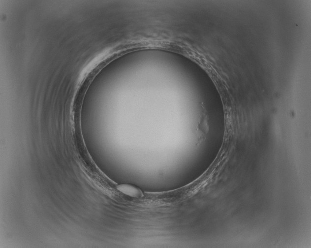 X0000067330246200604131708