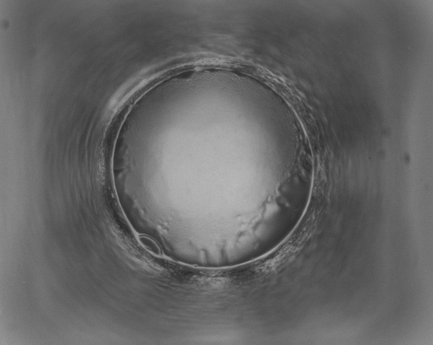 X0000067330247200604131708